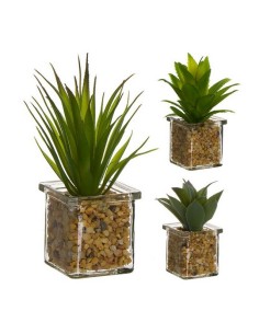 CACTUS MACETA CRISTAL 289511