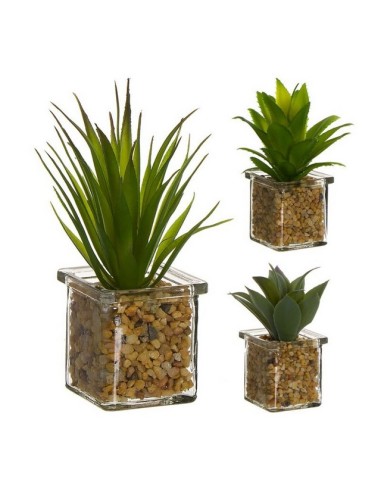 CACTUS MACETA CRISTAL 289511