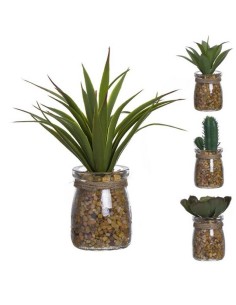 CACTUS MACETA CRISTAL 289505