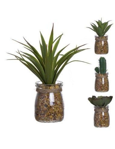 CACTUS MACETA CRISTAL 289505