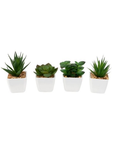 CACTUS MACETA 289559