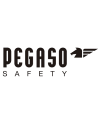 PEGASO